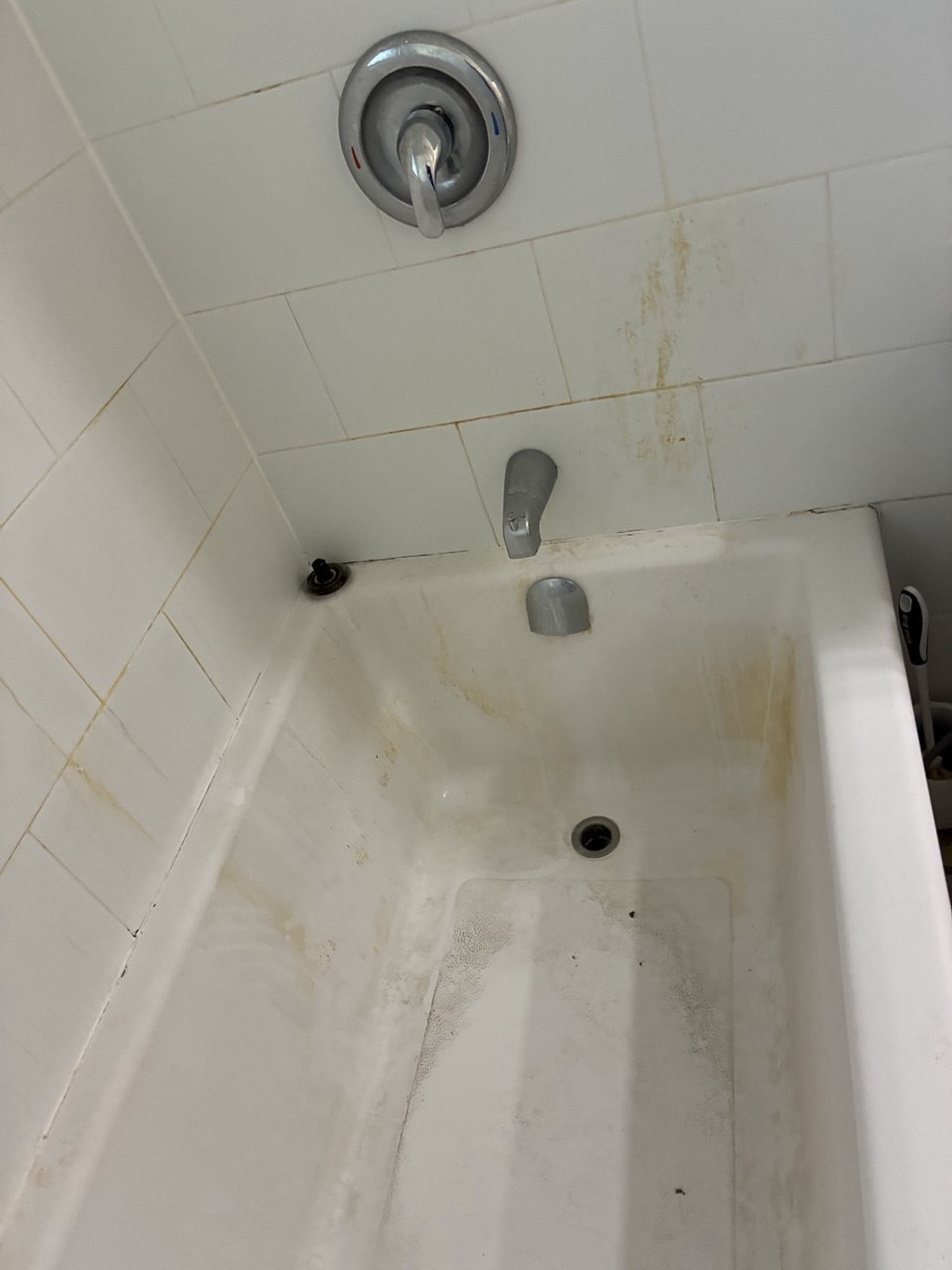 Toilet before professional cleaning