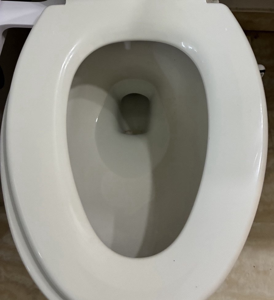 Toilet after professional cleaning