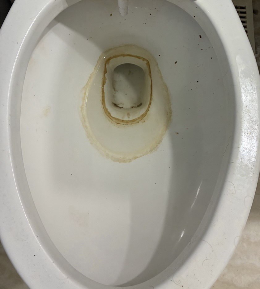 Toilet before professional cleaning